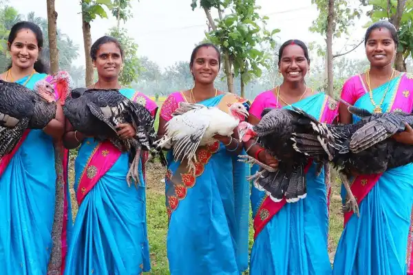 Village Babys