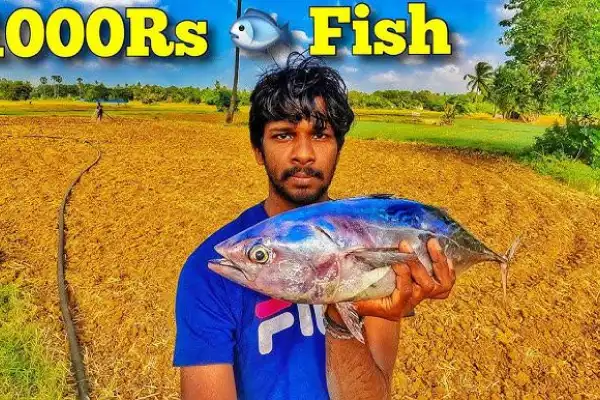 Jaffna Suthan