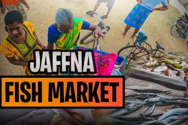 Kajan Vlogs Jaffna