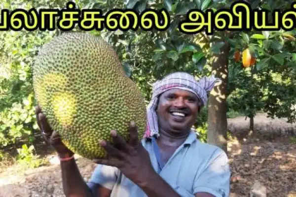 Sirkazhi Kathir Samaiyal