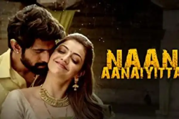 Naan Aanaiyittal